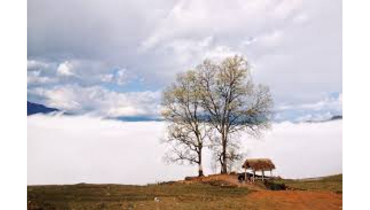 Siêu phẩm đất nền trung tâm Y Tý - SaPa2 view săn mây, thung lũng ruộng bâc thang..